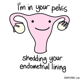 uterus